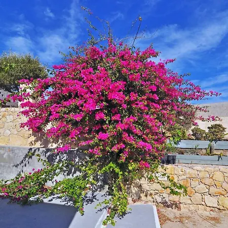 Marina Holiday home Provatas